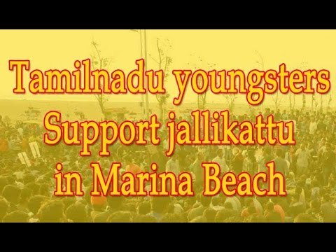 Tamilnadu youngsters Support jallikattu in Merina Beech