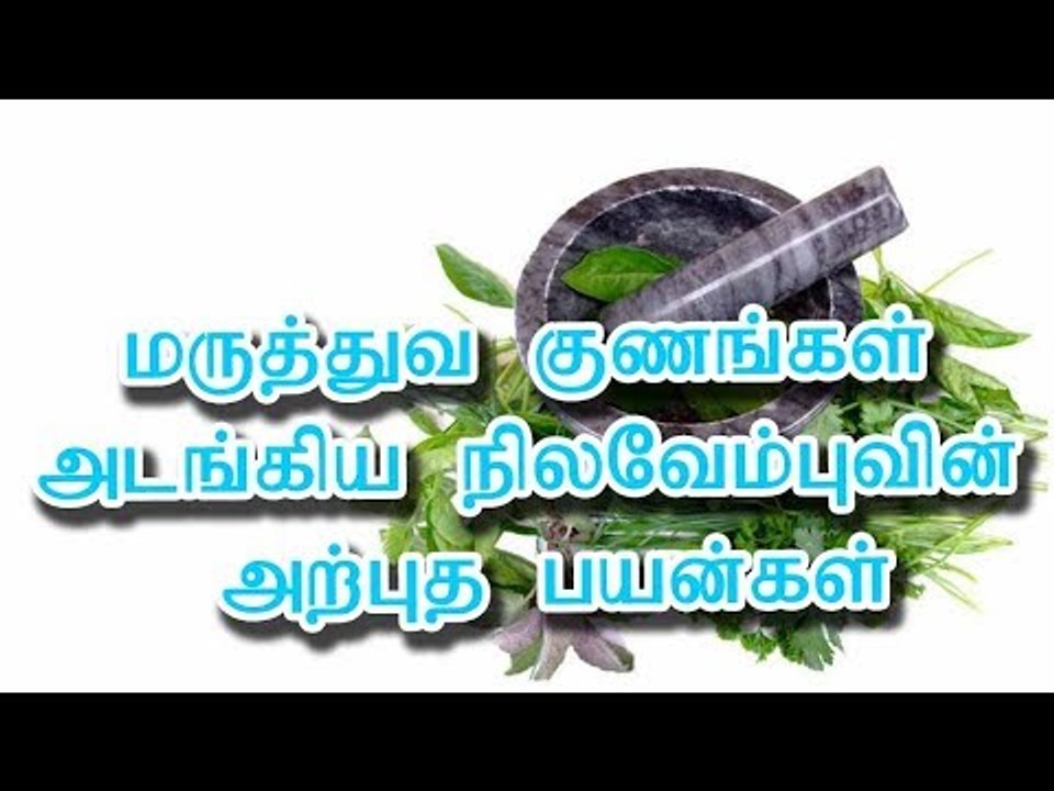 மருத்துவ குணங்கள் அடங்கிய நிலவேம்புவின் அற்புத பயன்கள்