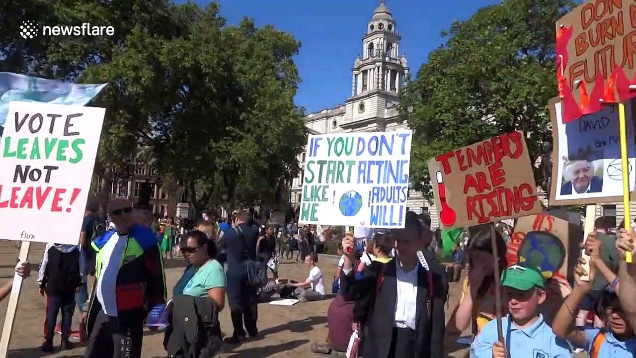 'Vote leaves - not leave!' Climate change activ...