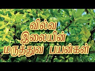வில்வ இலையின் மருத்துவ பயன்கள்