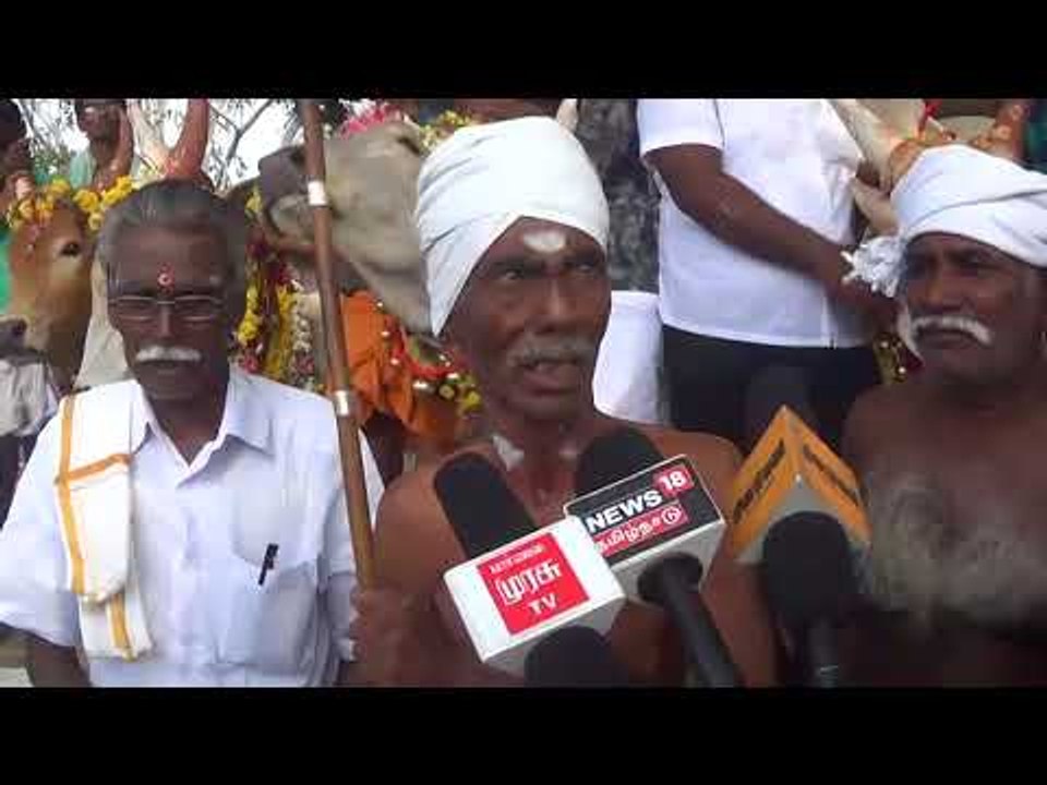 Karur Speacial jallikattu/கரூர் ஜல்லிக்கட்டு