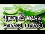 கற்றாழையின் மருத்துவ குணங்களும் பயன்களும்