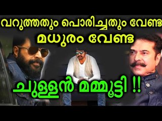 ഒരു സ്‌പൂണ്‍ ചോറും എണ്ണയില്ലാത്ത ചപ്പാത്തിയും - മമ്മൂട്ടിയുടെ ആഹാരരീതികള്‍ !