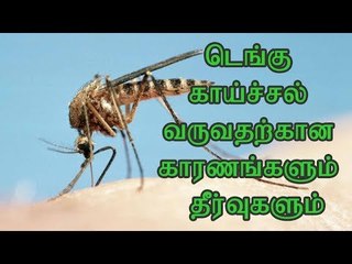 டெங்கு காய்ச்சல் வருவதற்கான காரணங்களும் தீர்வுகளும்