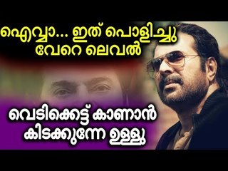മാസ് ആക്ഷൻ മൂവിയുമായി മമ്മൂട്ടി