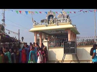 Karur Jallikattu / கரூர் ஜல்லிக்கட்டு