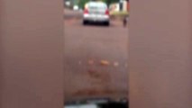 Vídeo mostra cachorro correndo atrás de carro onde estavam donos que haviam lhe abandonado