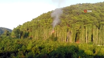 Ortaca’da orman yangını