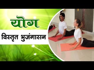 विस्तृत भुजंगासन  I Vistrit Bhujangasana