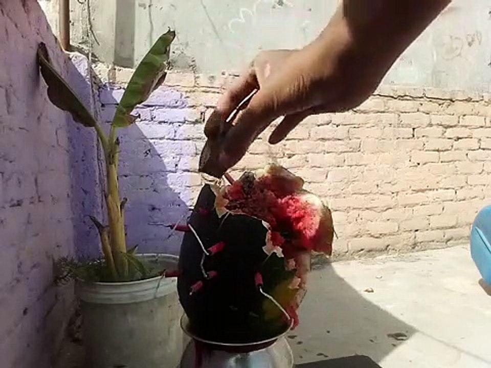 1000 Bijli Cracker v-s Watermelon _ Experiment_Trim