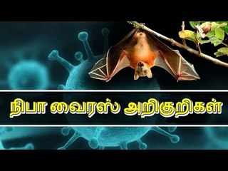 நிபா வைரஸ் I Nipah Virus அறிகுறிகள்