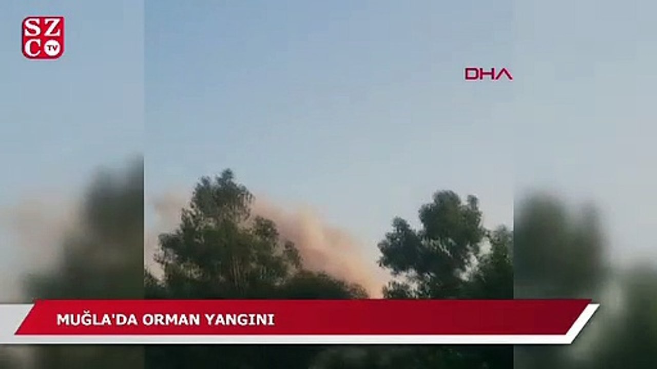 Muğla'da orman yangını