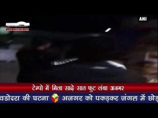 टेम्पो में मिला साढ़े सात फुट लंबा अजगर