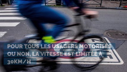 Un dimanche à Bruxelles sans voiture, comment ça roule (pas) ?