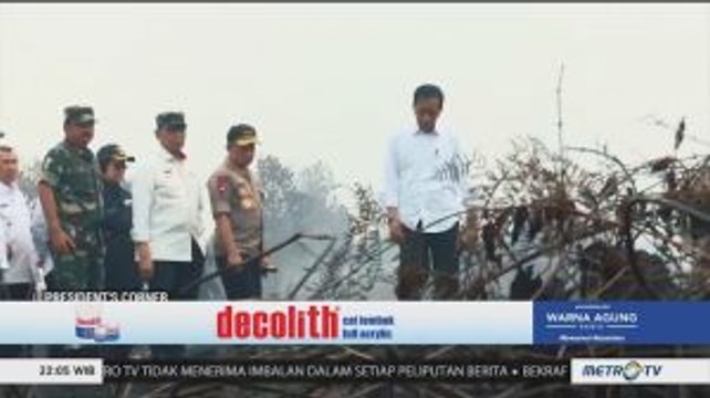 Jokowi Tinjau Langsung Lokasi Karhutla di Riau