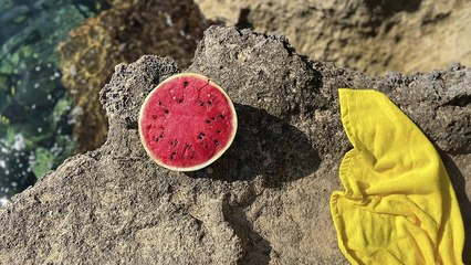 iPhone 11 precio y todos lo que debes saber antes de comprarlo