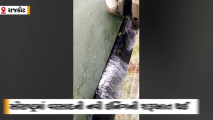 ભાદરવામાં ભાદર ડેમ-1 ઓવર ફ્લો થવાની તૈયારીમાં, 33.50 ફૂટની સપાટીએ પહોંચ્યો