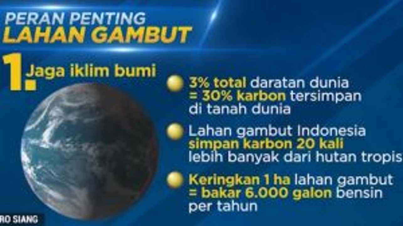 Selamatkan Hutan Gambut