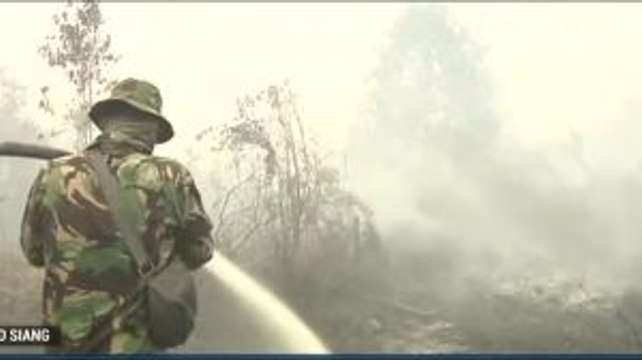 Berjuang Padamkan Lahan Terbakar
