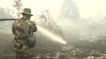 Panglima TNI: 41 dari 44 Titik Api di Riau Berhasil Dipadamkan