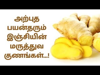 Ginger | இஞ்சியின் மருத்துவ குணங்கள் | medical qualities of Ginger