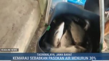 Kemarau, Omset Pengusaha Ikan di Tasikmalaya Turun