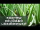 Aloe Vera causes Heart Problems? Watch this