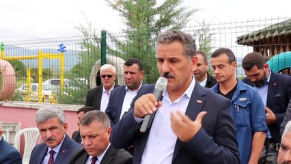 Samsun'da kenevir tohumu hasadı başladı