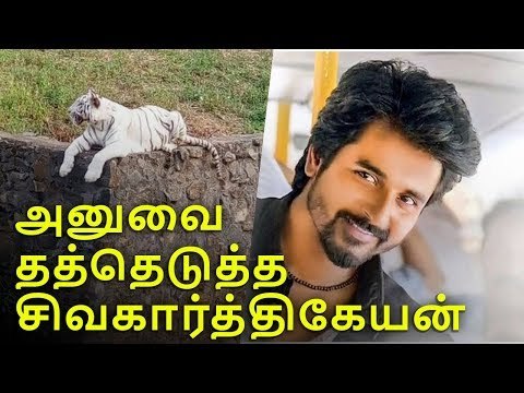 Actor Sivakarthikeyan adopts white tiger called Anu | VANDALUR ZOO |