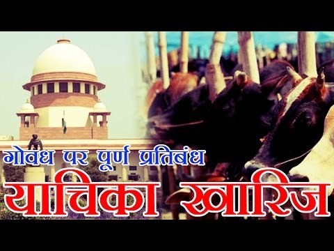गोवध पर पूर्ण प्रतिबंध की याचिका सुप्रीम कोर्ट में खारिज | SC dismisses plea seeking cow slaughter