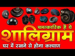 चमत्कारिक है ये शालिग्राम, घर में रखने से होगा कल्याण I Shaligram Stone