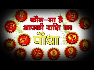कौन-सा है आपकी राशि का पौधा