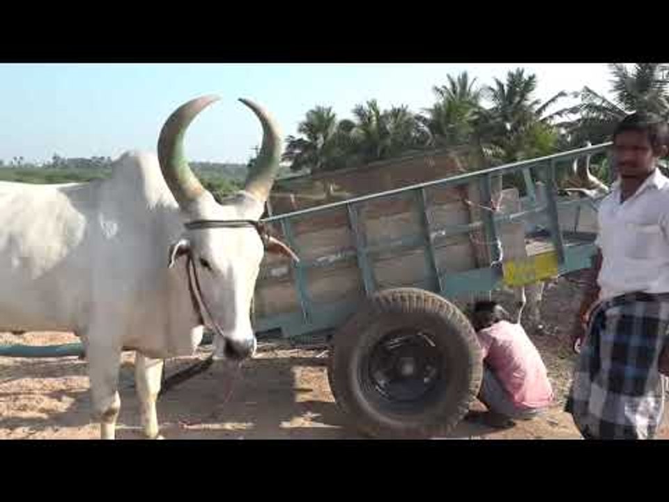 கரூரில் தடையை மீறி மணல் அள்ளியதால் வந்த விபரீதம் .