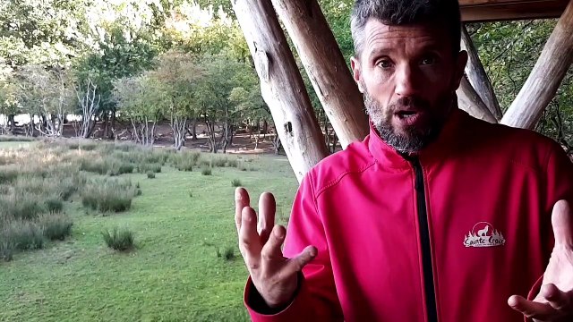 La saison du brame du cerf débute au parc animalier de Sainte-Croix