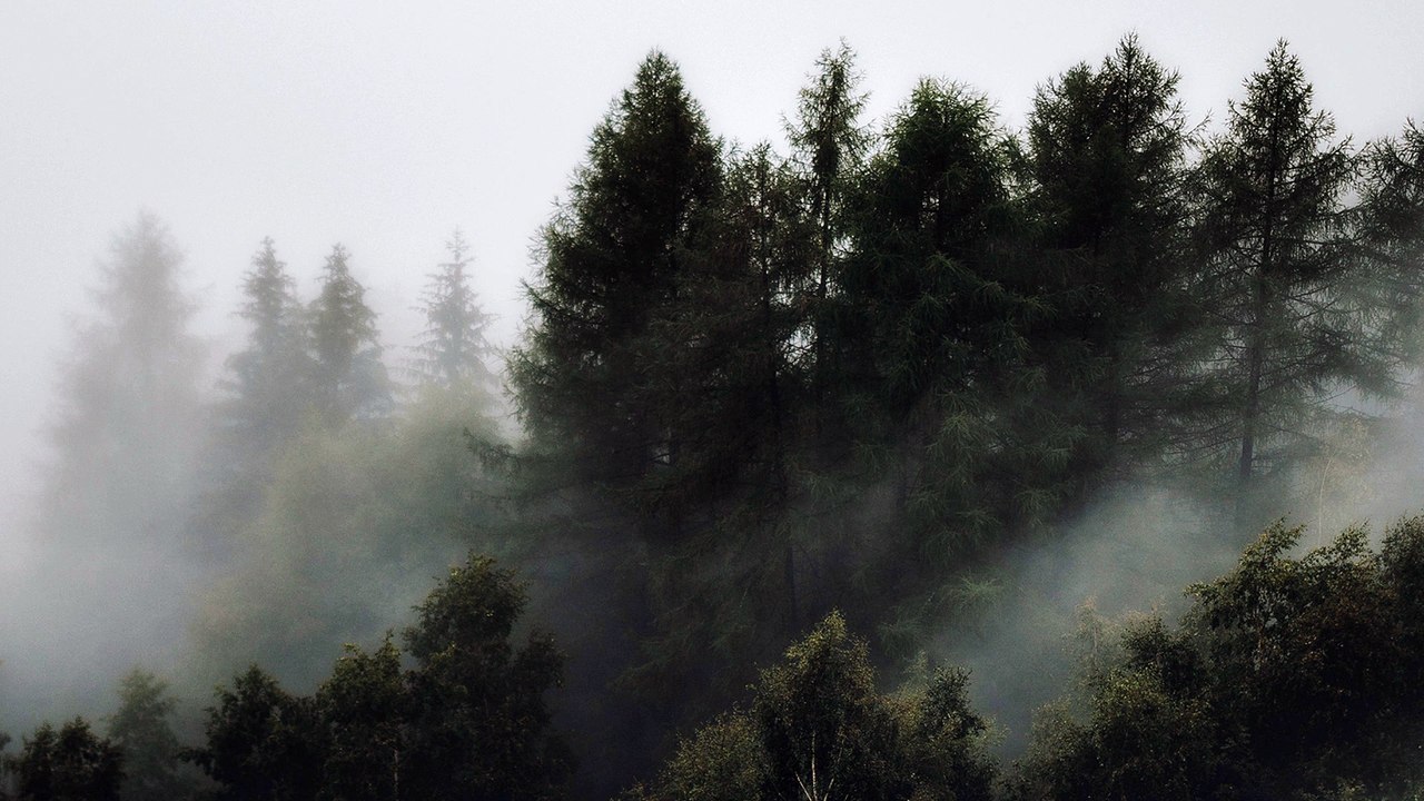 joergmueller - From The Vaults - Ftv#2