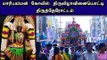 #Therottam #Karur |  Koil Therottam  | கரூர் மாரியம்மன் கோவில் திருவிழாவினையொட்டி திருத்தேரோட்டம்