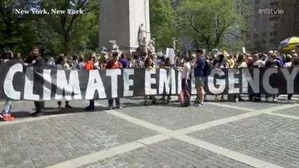 Climate Strikes Around the World