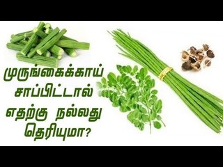 Drumstick | முருங்கைக்காய் | Drum Stick | Benefits
