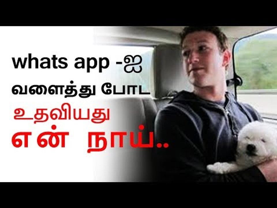 whats app -ஐ வளைத்துப் போட உதவியது என் நாய் - மார்க் ஜூகர் பெர்க்