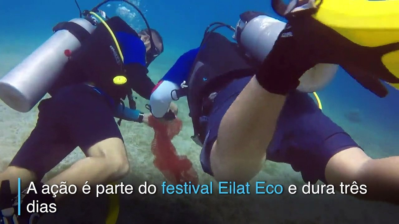 -	Mergulhadores limpam corais