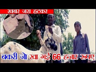 भूखी बकरी जो खा गई 66 हजार रूपए