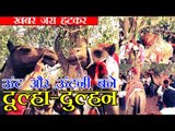 ऊंट और ऊंटनी बने दूल्हा-दुल्हन
