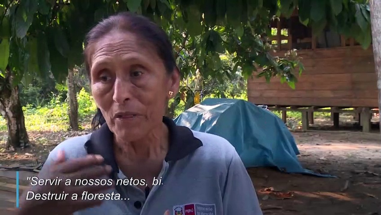 Queimadas geram alerta global