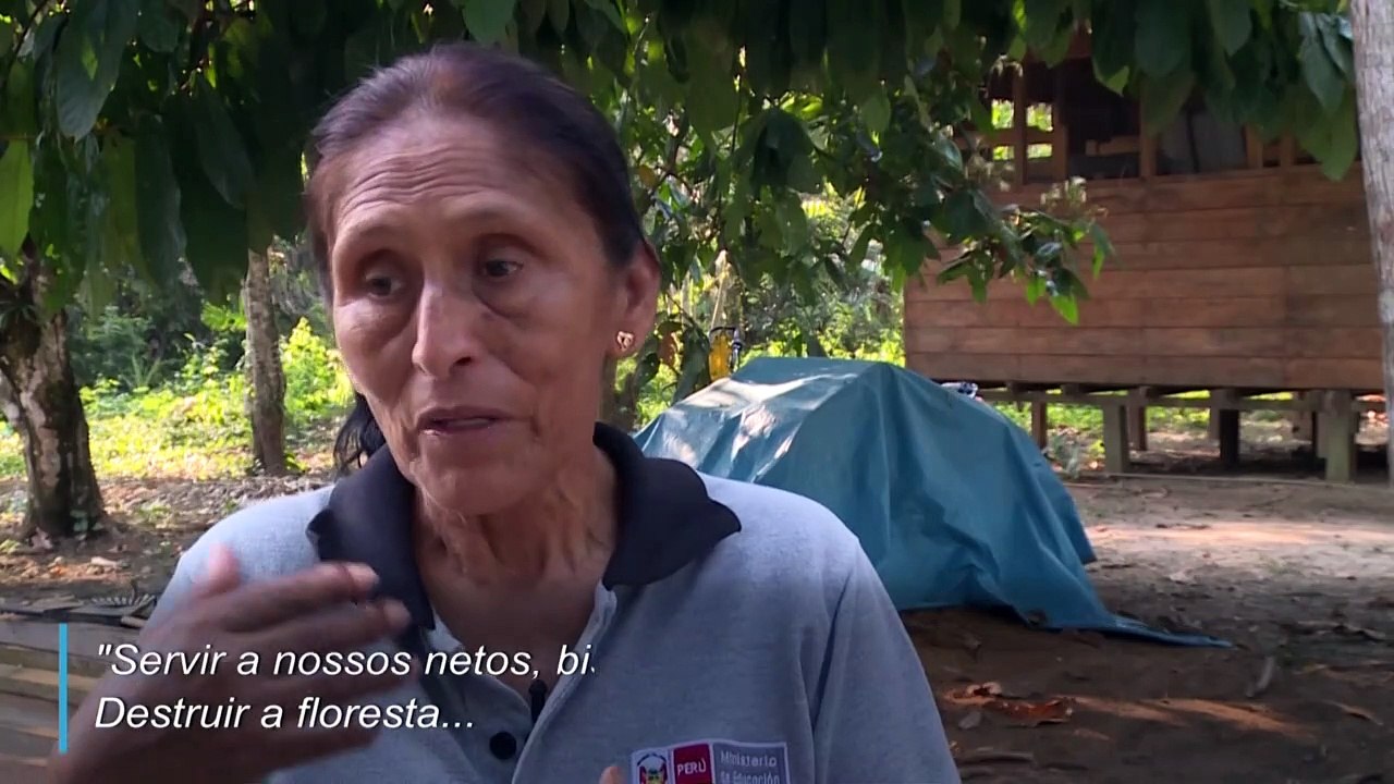 Queimadas geram alerta global
