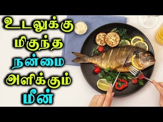 FISH | உடலுக்கு மிகுந்த நன்மை அளிக்கும் மீன்!! | Fish Benefits