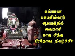 karur | வைகாசி மாத சித்த பிரதோஷ நிகழ்ச்சி!!