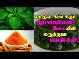 எளிதில் கிடைக்கும் குப்பைமேனி இலையின் மருத்துவ பயன்கள்!! |  Kuppaimeni