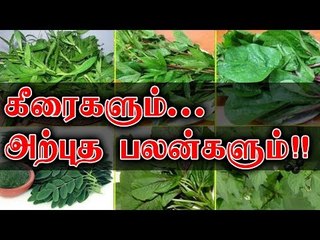 கீரைகளும் அதன் பயன்களும்...! | !Keeraikal | greens and its benefits