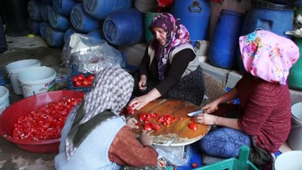 Çubuk turşusu Geyve’ye örnek olacak - ANKARA