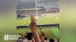Japan fan cam v Russia _ Rugby World Cup 2019